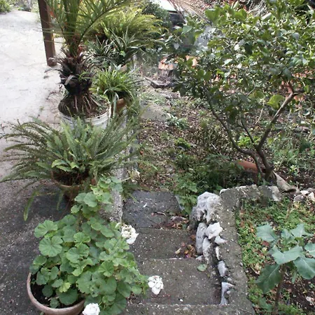 By The Sea Babine Kuce, Mljet - 610 * Govedari