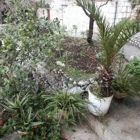 By The Sea Babine Kuce, Mljet - 610 Apartment