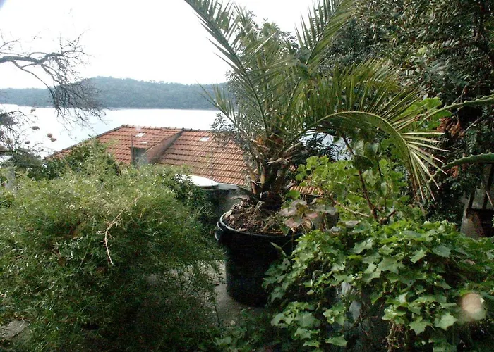 By The Sea Babine Kuce, Mljet - 610 古维达里