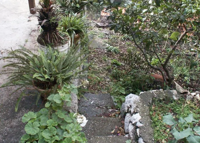 By The Sea Babine Kuce, Mljet - 610 * 古维达里