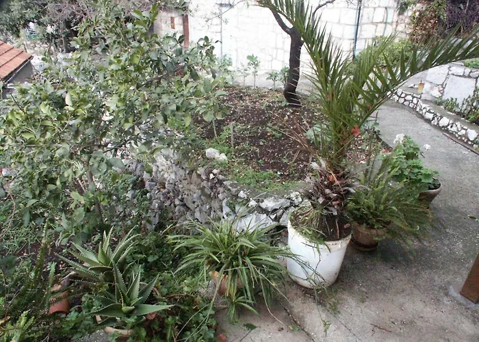 By The Sea Babine Kuce, Mljet - 610 公寓