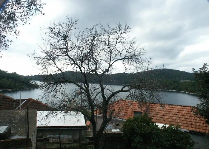 By The Sea Babine Kuce, Mljet - 610 公寓 *