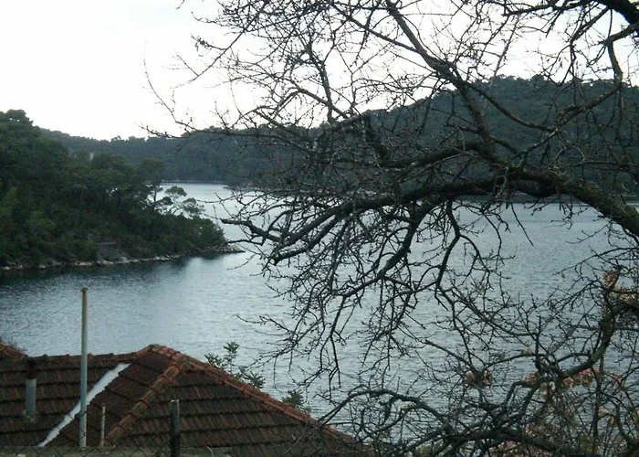 By The Sea Babine Kuce, Mljet - 610 公寓 古维达里