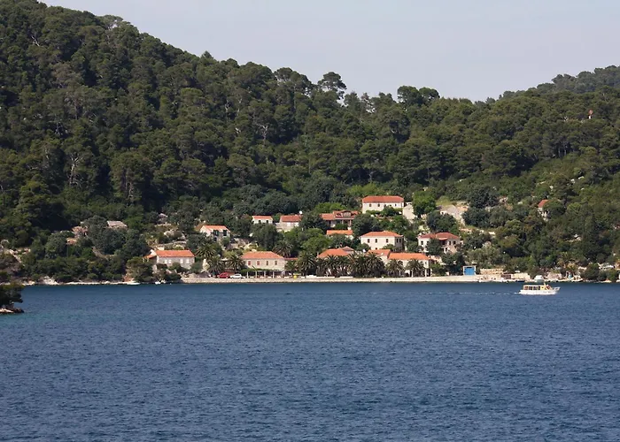 By The Sea Babine Kuce, Mljet - 610 公寓 古维达里